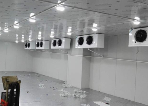  定制建造600m3生物制品低溫倉(cāng)庫(kù)設(shè)備費(fèi)用是多少？