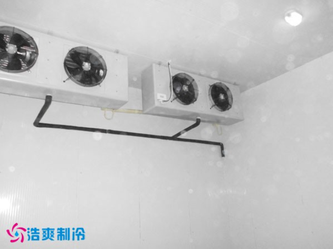 建造-30~-80℃超低溫血漿蛋白冷凍庫(kù)需要花費(fèi)多少價(jià)格？