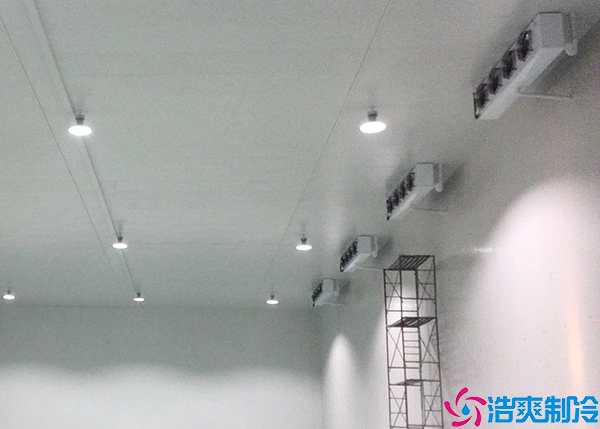  永州gsp醫(yī)藥冷庫建設標準及設計方案