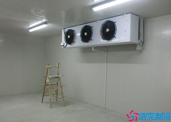  湘西GSP醫(yī)藥冷庫設(shè)計(jì)方案