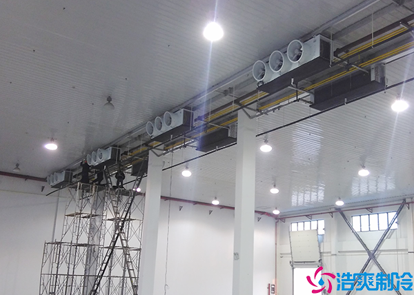  湘西醫(yī)藥冷凍庫造價(jià)多少錢一平方？