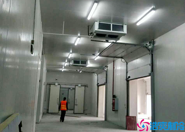  湖南GSP醫(yī)藥冷庫建設方案