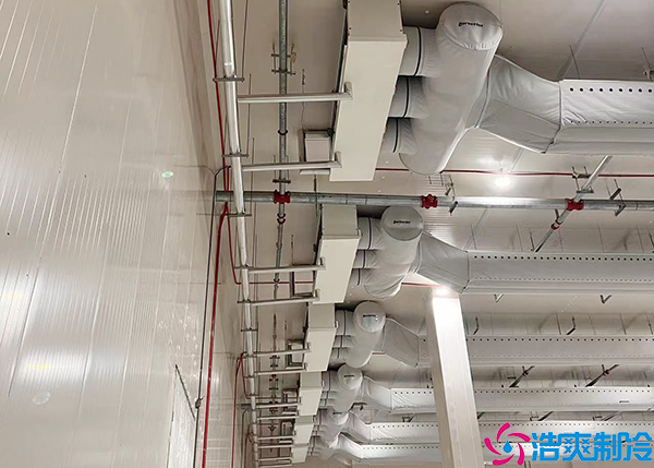  永州藥品冷藏冷庫多少錢一平方？