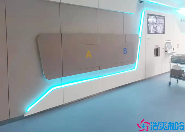  張家界醫(yī)療冷庫建設(shè)項目有哪些地方施工