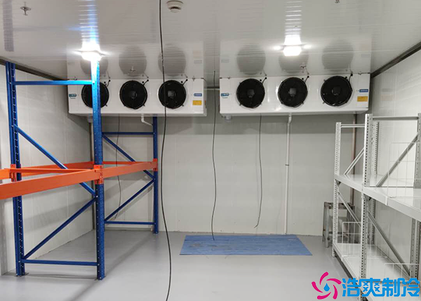  岳陽血漿冷庫一平方多少錢？