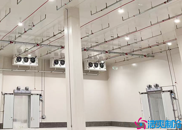  醫(yī)藥冷庫(kù)驗(yàn)收流程及標(biāo)準(zhǔn)規(guī)范