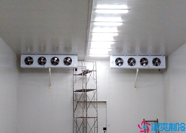  100立方醫(yī)療冷庫建設(shè)費(fèi)用及要素