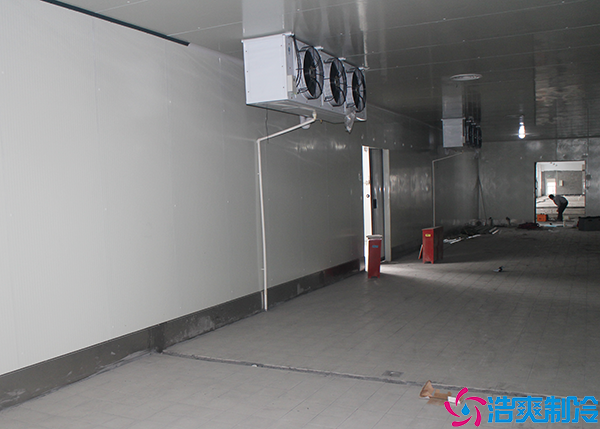  重慶1000平藥品冷藏庫的投資成本分析