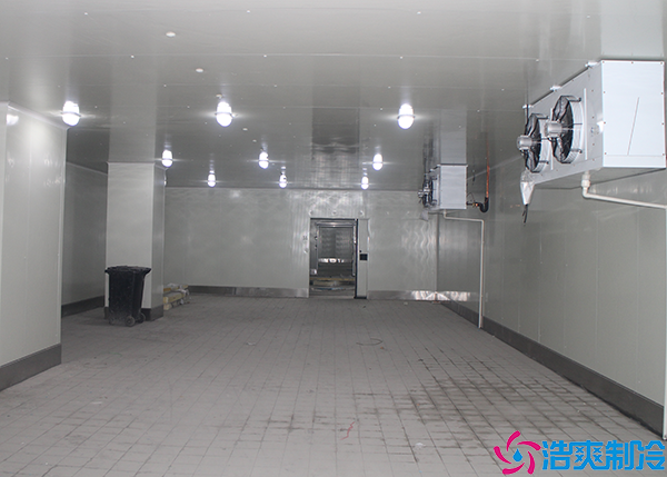  江西醫(yī)藥冷凍庫(kù)建造公司