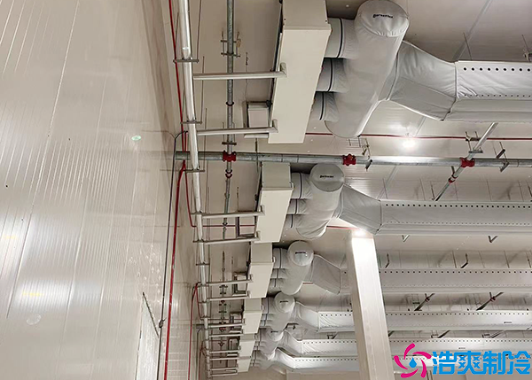  廣東藥品冷藏冷庫(kù)保養(yǎng)價(jià)格的考量