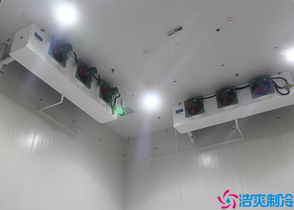  冷藏藥品驗(yàn)收入庫操作流程：確保藥品質(zhì)量的重要環(huán)節(jié)