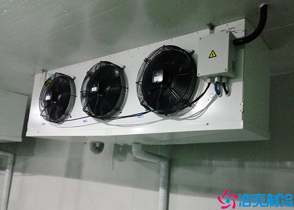  福建血漿冷庫建造需要多少錢？