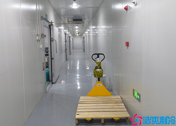 血漿儲(chǔ)存冷庫(kù)