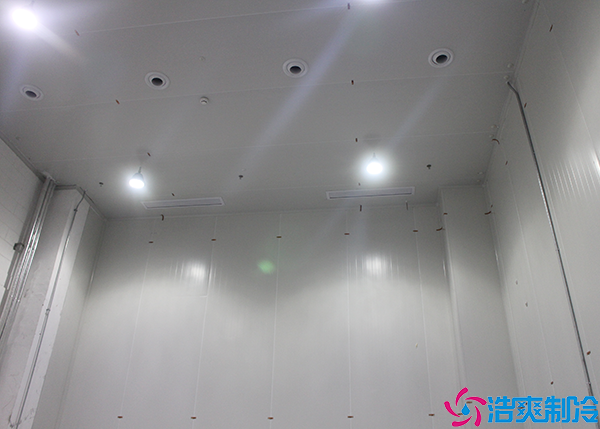 醫(yī)藥冷庫(kù)