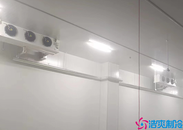  張家界藥品冷藏冷庫施工項目有哪些內(nèi)容？