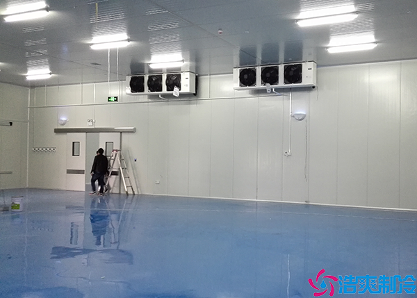  大型血漿低溫冷庫工程建設(shè)標準