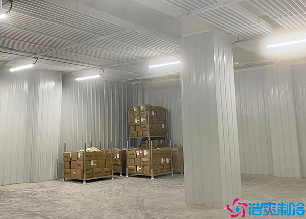 醫(yī)藥物流冷庫(kù)