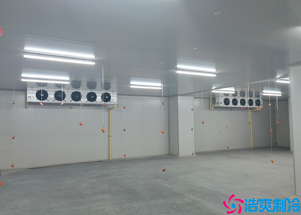 醫(yī)藥冷庫(kù)