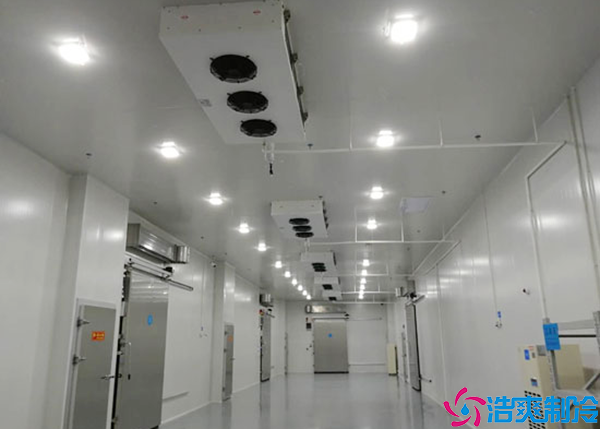  湖南醫(yī)藥冷凍庫建造價(jià)格多少錢一噸？