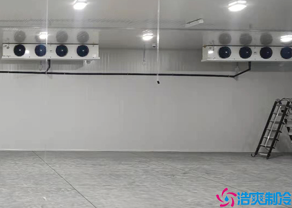  懷化醫(yī)藥冷庫建設(shè)多少錢一平方？