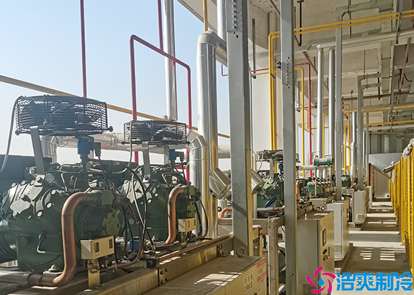 大型醫(yī)療冷庫(kù)