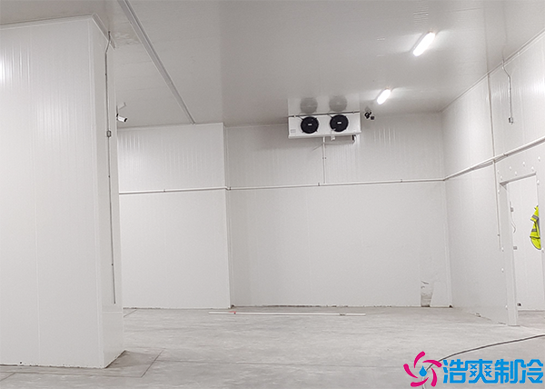 湖南醫(yī)藥冷凍庫保養(yǎng)方案及流程