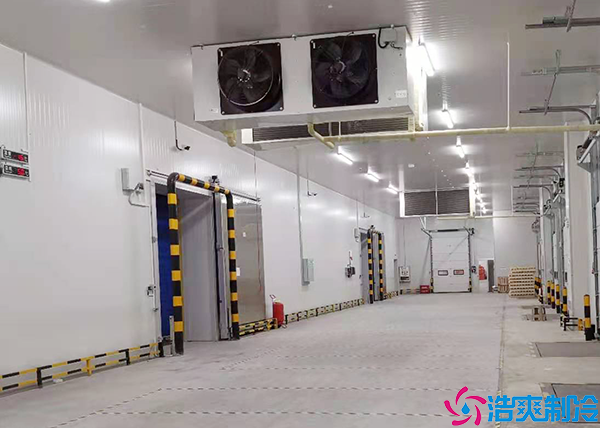 郴州醫(yī)藥冷凍庫建造廠家