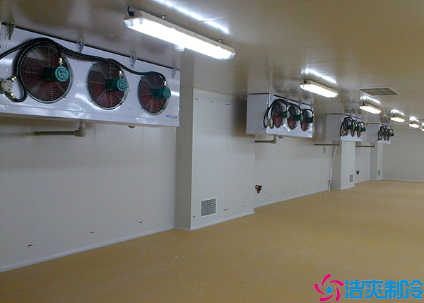 婁底醫(yī)藥冷凍庫建造項目有哪些?