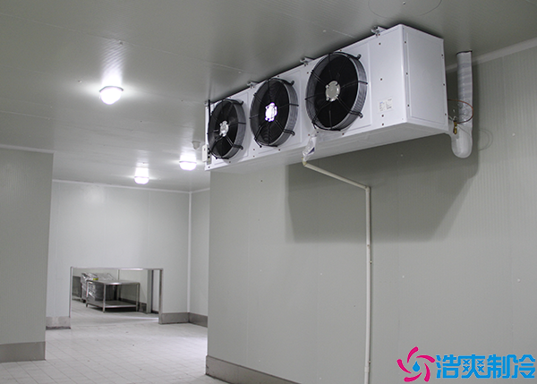 廣東醫(yī)藥冷藏冷庫(kù)生產(chǎn)廠家的選擇