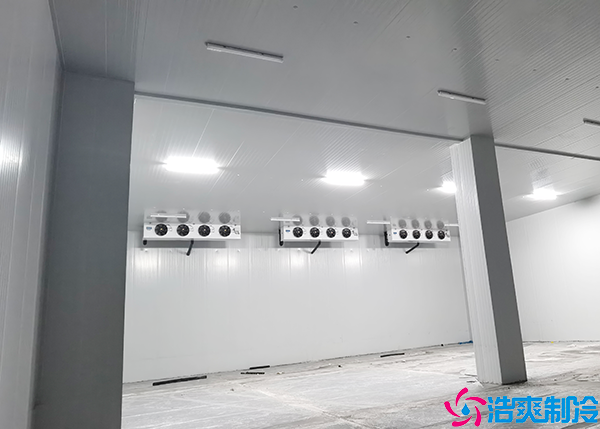  醫(yī)共體信息化建設對生活有哪些影響？