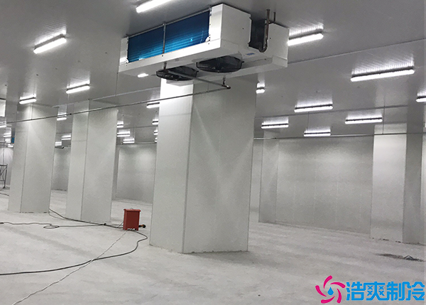 益陽醫(yī)療冷庫造價多少錢一平方?