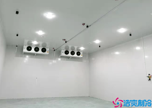 湖南藥品冷藏冷庫保養(yǎng)公司