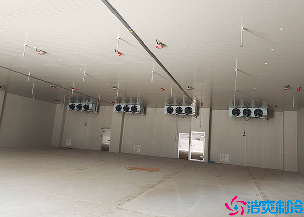  岳陽醫(yī)藥冷庫保養(yǎng)中心：確保醫(yī)藥冷庫穩(wěn)定運行的重要角色