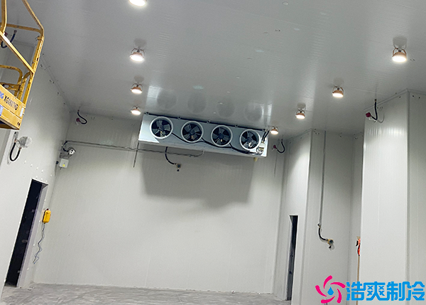  婁底醫(yī)藥物流冷庫定做價格查詢