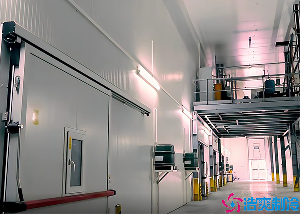  1000平智慧醫(yī)藥物流冷庫建造價格多少錢？