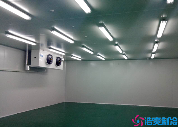 醫(yī)療冷庫
