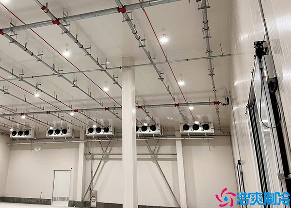 900平醫(yī)藥工廠冷庫(kù)建造成本多少錢?