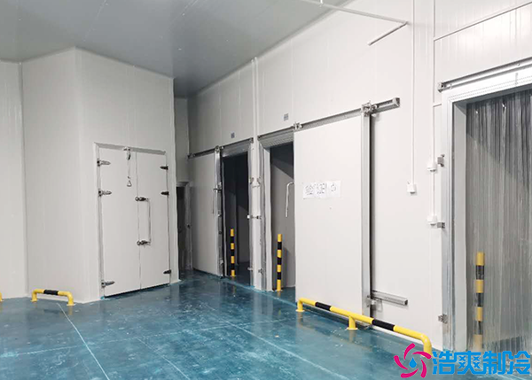 300懷化血漿冷庫建造價格多少錢?