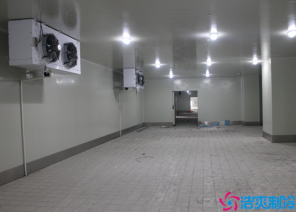  衡陽小型醫(yī)藥冷庫造價多少錢一平方？