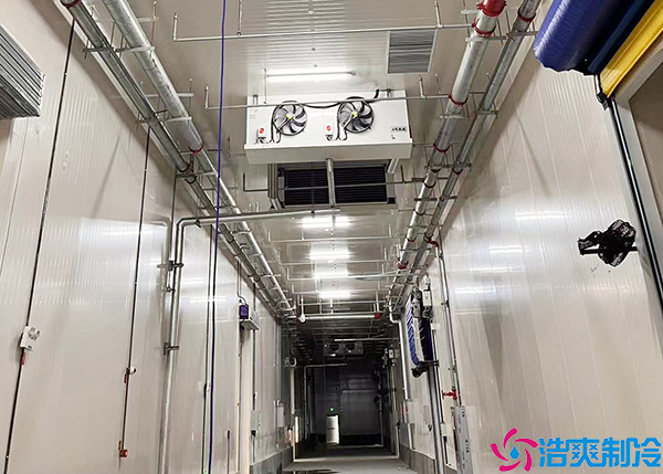 制藥車間冷庫
