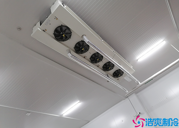 醫(yī)藥冷凍庫