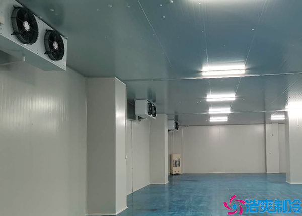 大型藥品冷庫(kù)