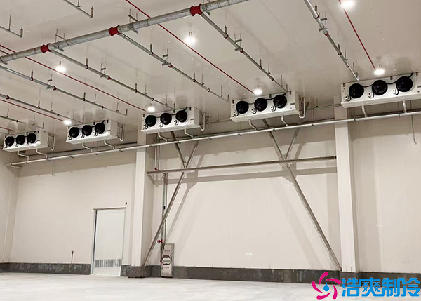 韶關(guān)大型醫(yī)藥物流冷庫建造項(xiàng)目的關(guān)鍵要素及所涉及內(nèi)容