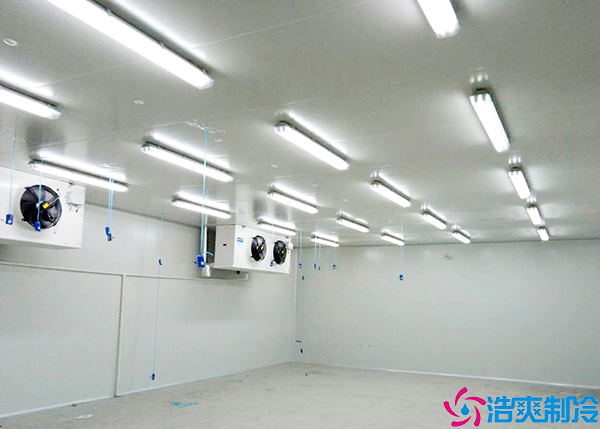 懷化醫(yī)藥冷庫建造廠商:為醫(yī)藥行業(yè)提供專業(yè)可靠的冷庫建設(shè)服務(wù)