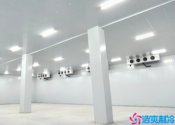 懷化大型醫(yī)藥冷庫定制廠家:為醫(yī)藥行業(yè)提供專業(yè)定制解決方案