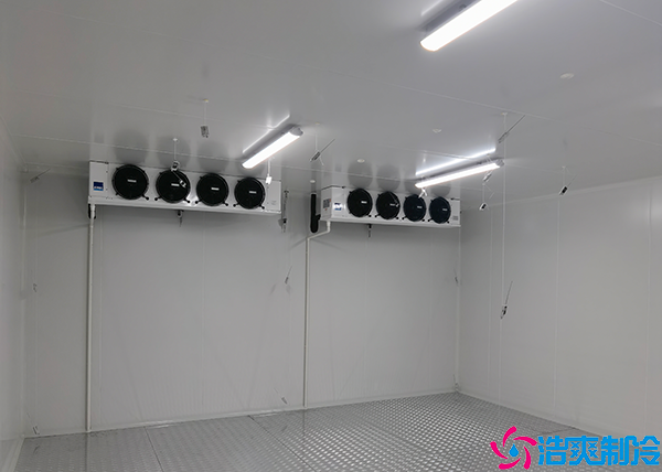 醫(yī)療冷庫(kù)