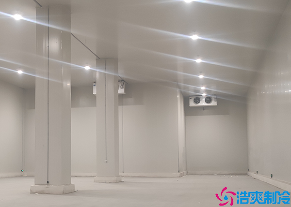 醫(yī)藥冷凍庫(kù)