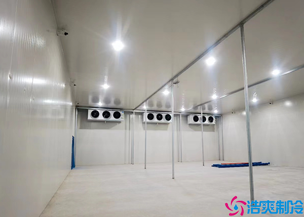 醫(yī)藥物流冷庫