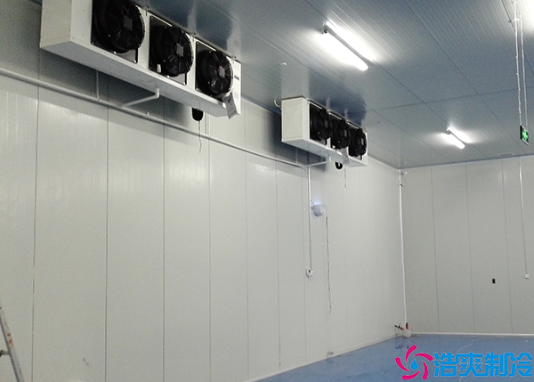 醫(yī)藥冷庫設備