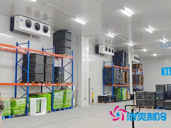  智能醫(yī)藥冷庫安裝方案與造價概覽